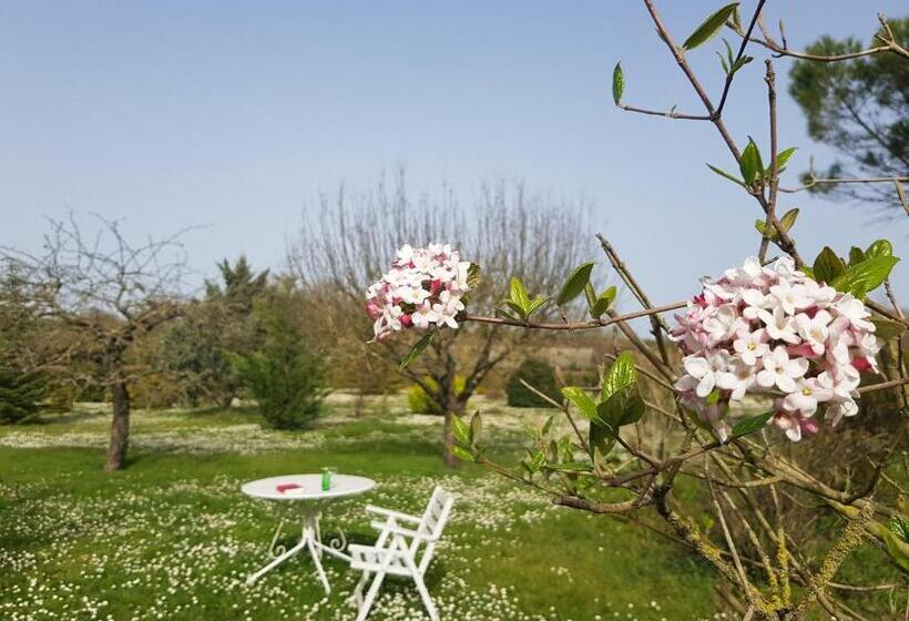 园景标准四人间, Domaine De Pelouaille Chambre D Hôtes