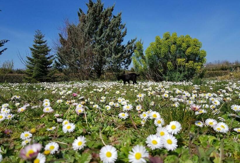 Номер Стандарт Вид на Сад, Domaine De Pelouaille   Chambre D Hôtes