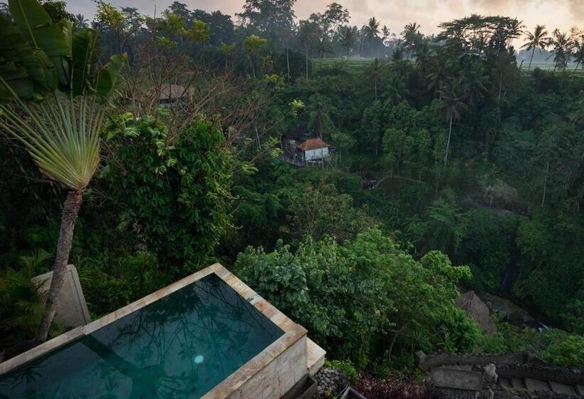 デラックススイート, Villa Cella Bella Ubud