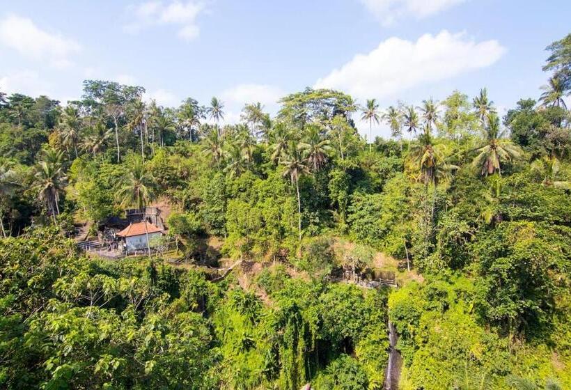 スーペリアースイート, Villa Cella Bella Ubud