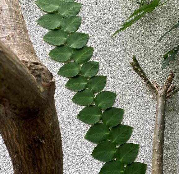 חדר סטנדרט נוף לגינה, Mailaku House