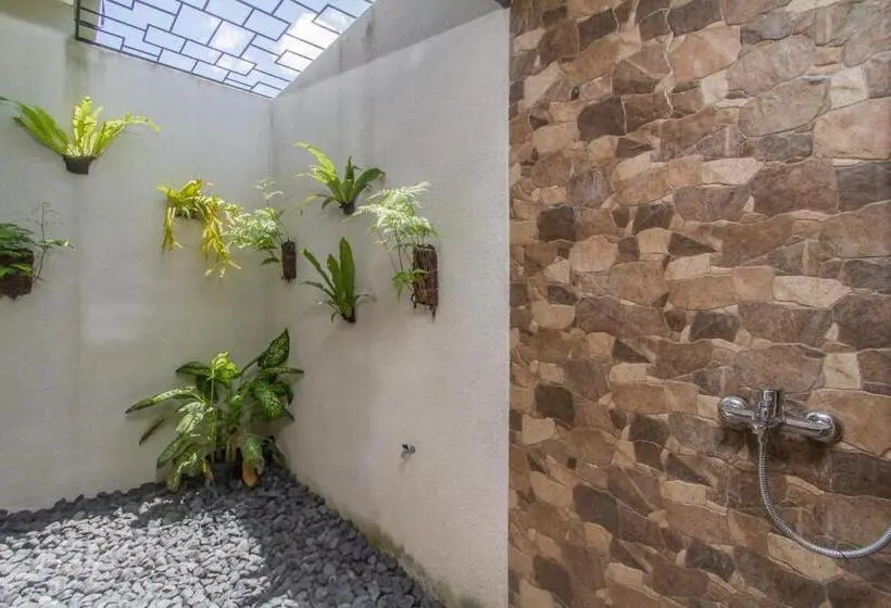 سوییت با چشم‌انداز باغ, Mailaku House