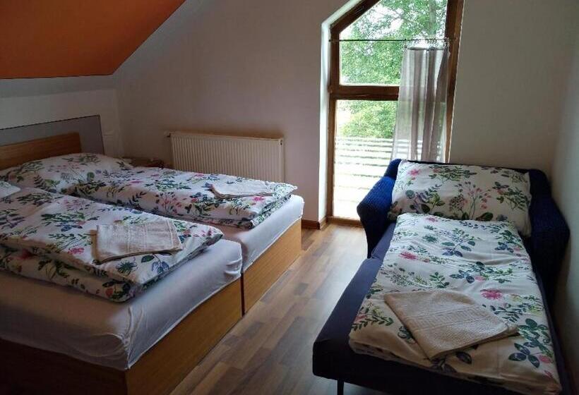 חדר סטנדרט, Pension Odrava