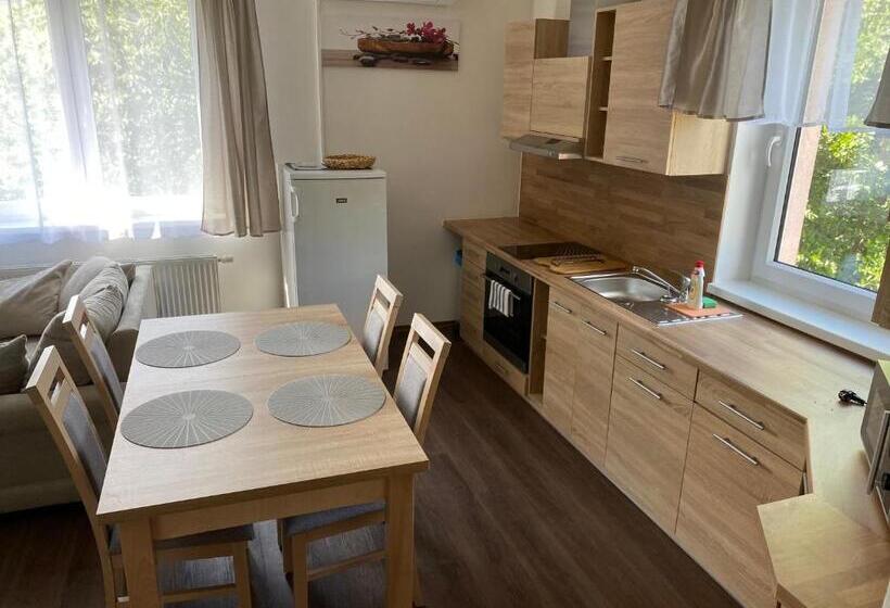 דירת חדר דלוקס, Apartmány Krupka