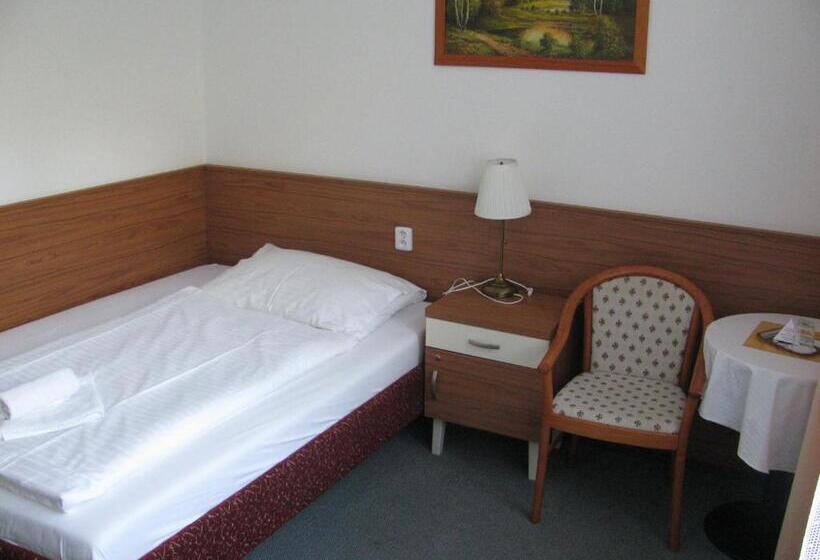 标准单人间, Villa Dagmar