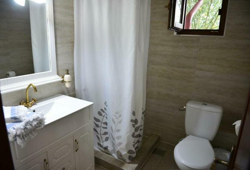 Номер Стандарт, Dumbrava