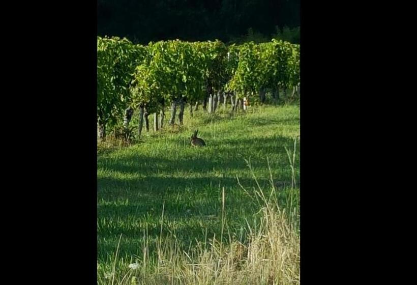 חדר סטנדרט, Chambre Saint Emilion   Le Clos D Antan