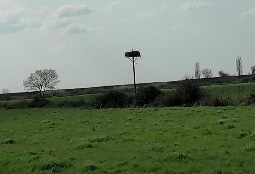 Четырехместный Номер Стандарт Вид на Сад, Le Petit Radieux