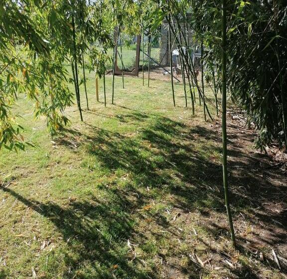 Номер Стандарт, Le Petit Radieux