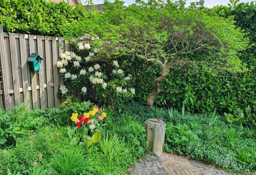 اتاق استاندارد چهار تخته, B&b De Loeff