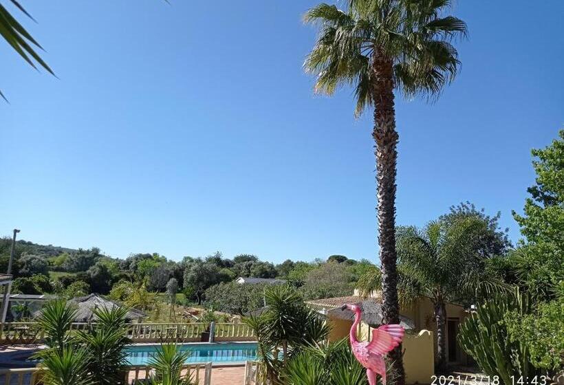 Люкс с Террасой, Quinta Pereiro Tropic Garden, Algarve