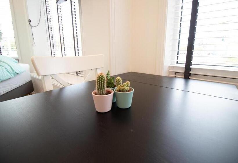 إستوديو قياسى سرير كينج, Escamp Apartments