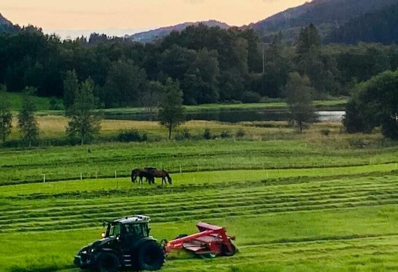 غرفة عائلية, Solneset Farm