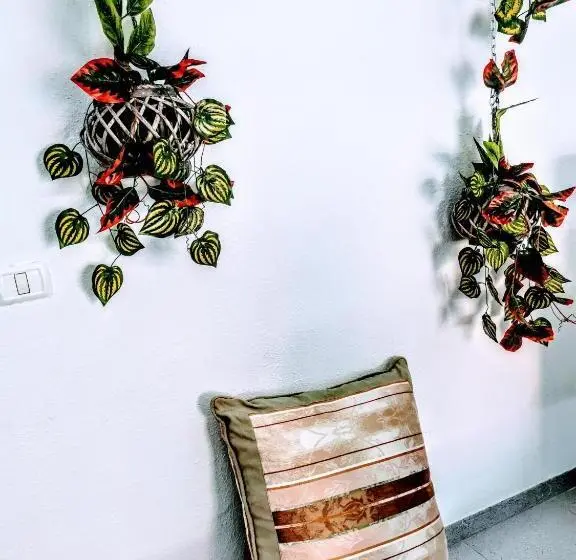 اتاق اکونومی, Casapatrizia Appartamento Compartido