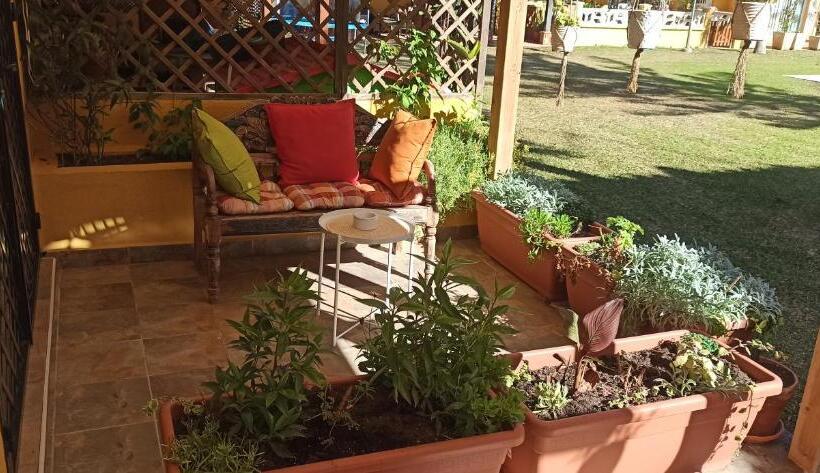 اتاق استاندارد با تراس, Dudi S Peppers