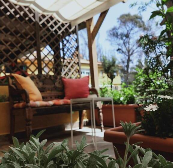 اتاق استاندارد با تراس, Dudi S Peppers