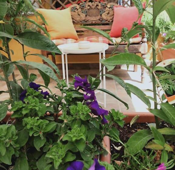 اتاق استاندارد با تراس, Dudi S Peppers