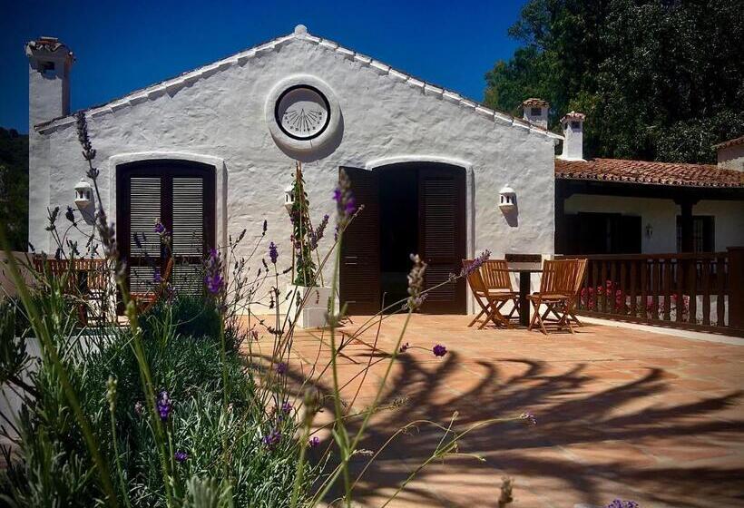 テラス付きスタンダードルーム, El Molino Estepona