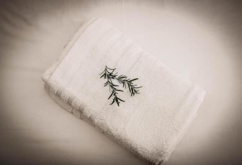 Номер Deluxe, Potch Manor Boutique Guest House