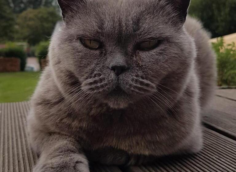 בית, 4 חדרי שינה, Schönste Lage Am Rhein In Unmittelbarer Stadtnähe, B & B