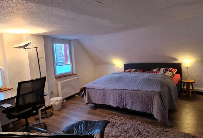 Дом 2 Спальни, Schönste Lage Am Rhein In Unmittelbarer Stadtnähe, B & B