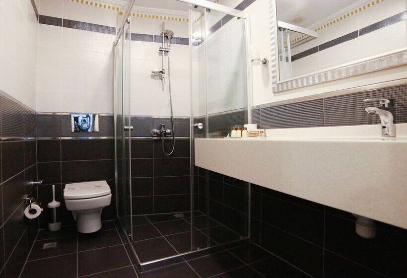 اتاق خانوادگی, Ayasultan