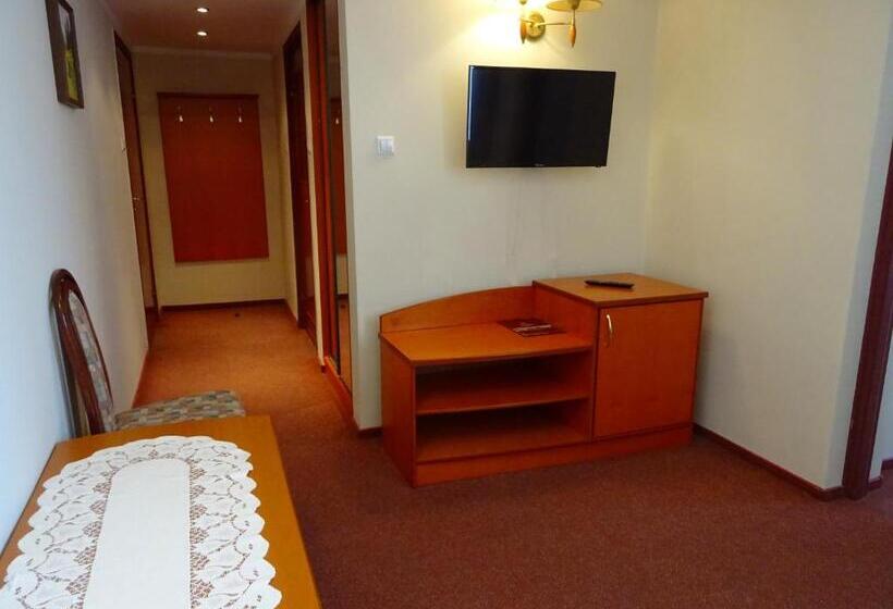 Студия Стандарт, Bartis