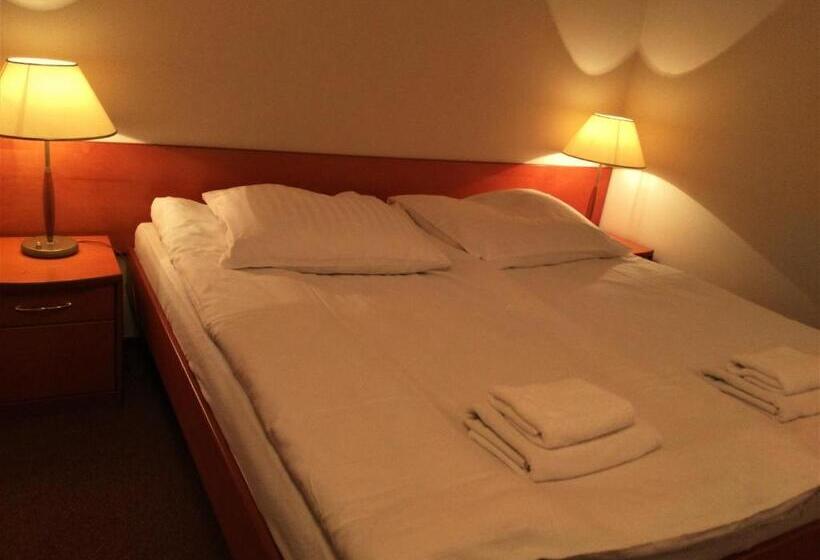 Студия Стандарт, Bartis