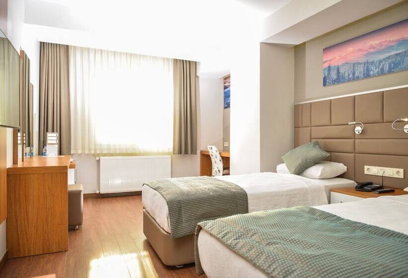 اتاق استاندارد, Hakcan