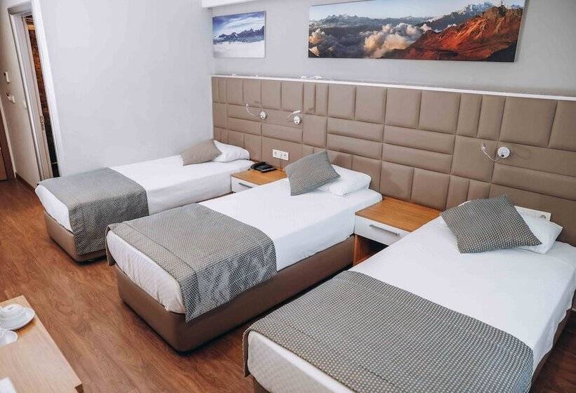 اتاق استاندارد سه نفره, Hakcan