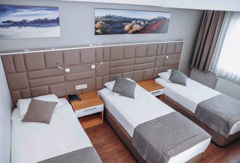 اتاق استاندارد سه نفره, Hakcan