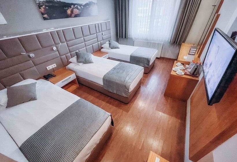 اتاق استاندارد سه نفره, Hakcan