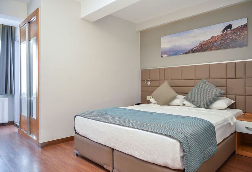 اتاق استاندارد یک نفره, Hakcan