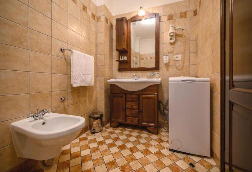 침실 1개 디럭스 아파트, Iosefin Residence