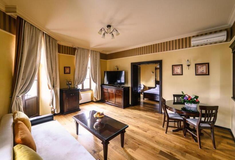 침실 1개 디럭스 아파트, Iosefin Residence