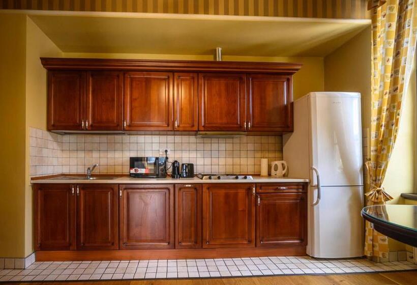 침실 1개 디럭스 아파트, Iosefin Residence