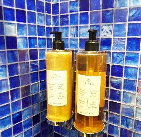 اتاق سوپریور, Pensione Accademia  Villa Maravege