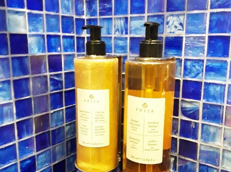 اتاق سوپریور, Pensione Accademia  Villa Maravege