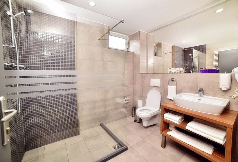 חדר סטנדרט, President By Timhotels