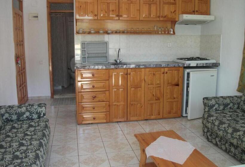 Апартаменты 1 Спальня, Tavilogullari Villa Apart