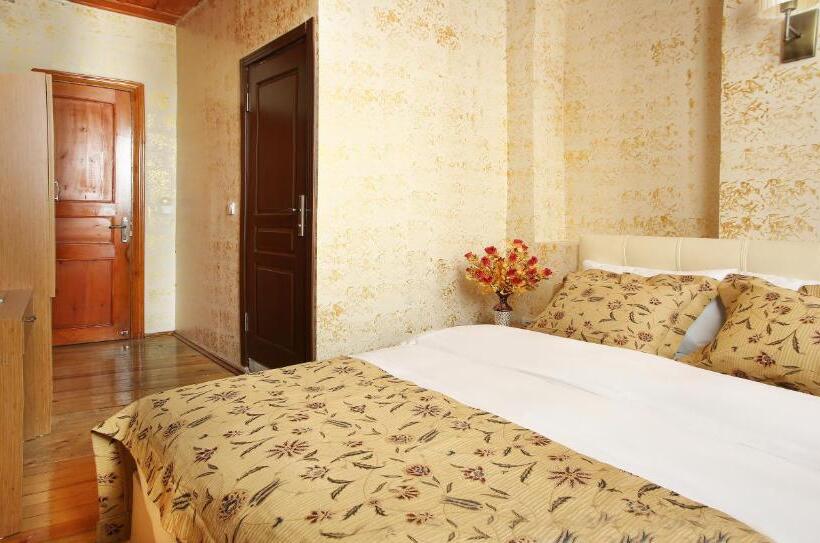 اتاق استاندارد, Theodian