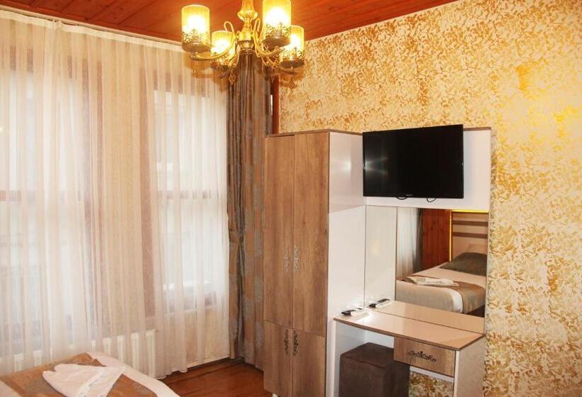 اتاق استاندارد, Theodian