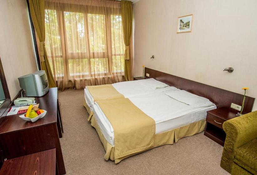 اتاق استاندارد, Snezhanka Hotel Pamporovo   Half Board & Ski