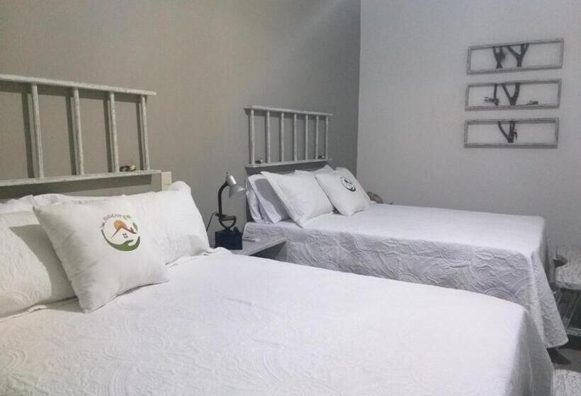 غرفه قياسيه سريرين مزدوجين, Casa Ammah