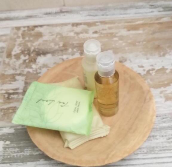 غرفه قياسيه سريرين مزدوجين, Casa Ammah