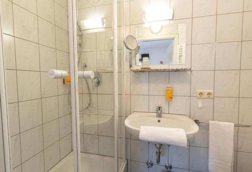 スタンダードシングルルーム, Ammergau Lodge