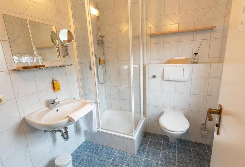 Номер Стандарт, Ammergau Lodge