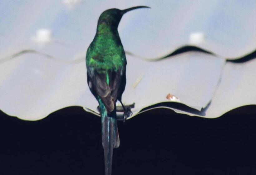 בקתת חדר, Brakvlei