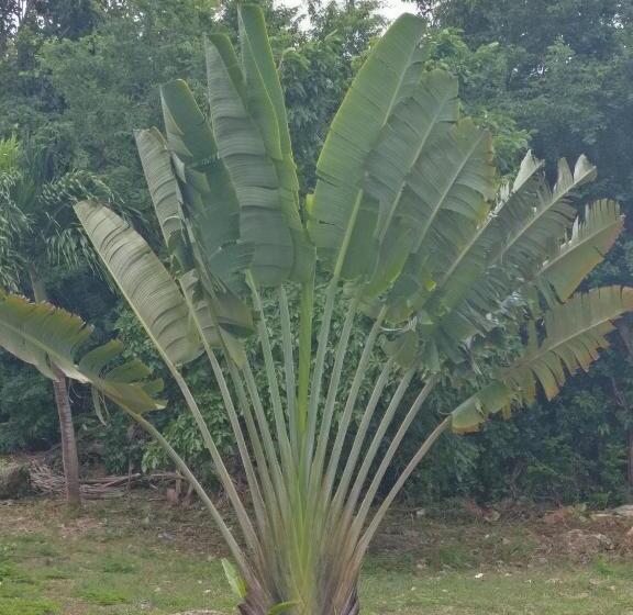 اتاق استاندارد با چشمانداز دریا, Location Bellevue