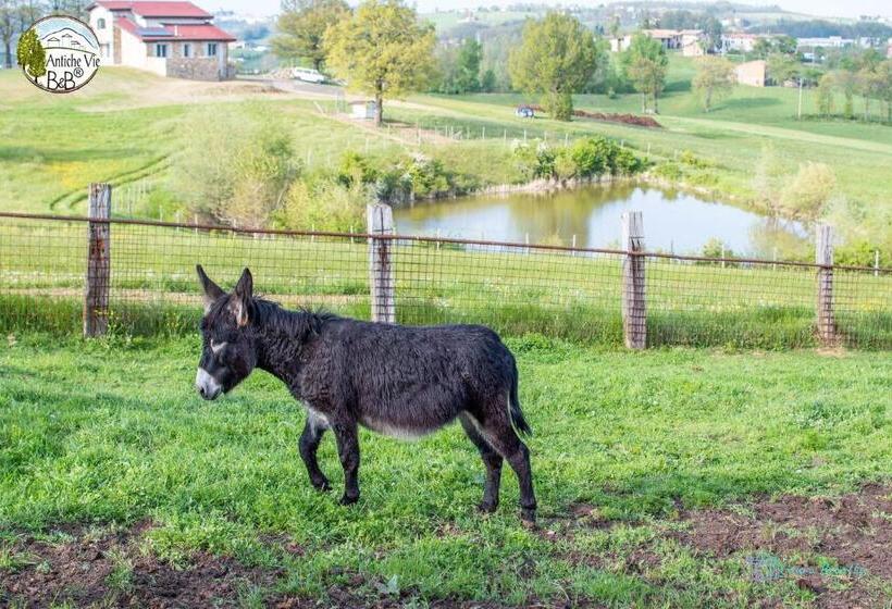 스탠다드 룸, Antiche Vie B&b